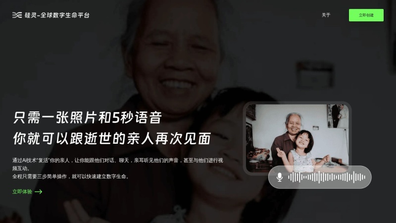 硅灵Ai 预览